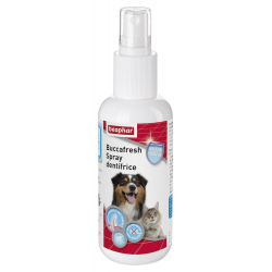 Spray dentifrice Buccafresh 150ml