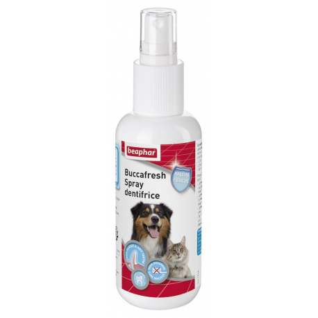 Spray dentifrice Buccafresh 150ml