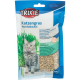 Sachet de semence d'herbe à chat Trixie, 100g