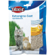 Sachet de semences d'herbe à chat (graines d'herbe)