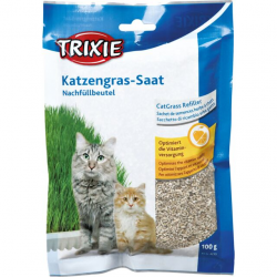 Sachet de semences d'herbe à chat (graines d'herbe)