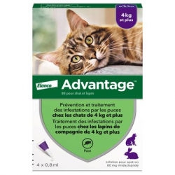 ADVANTAGE 80 CHAT + 4 KG 4 PIPETTES