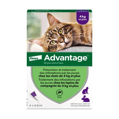 ADVANTAGE 80 CHAT + 4 KG 4 PIPETTES