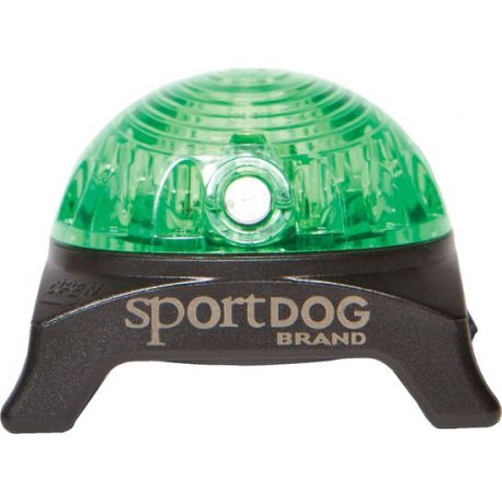 Lampe de repérage sportdog vert