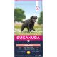 Croquette Eukanuba chien senior large poulet 15kg