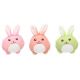 Jouet pour chiot rabbu Lapin