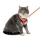 Harnais avec laisse Chaton Harms Orange & Noir 28cm