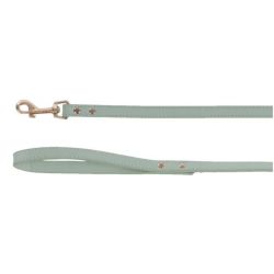 Laisse pour chien Nela menthe 1,3m 15mm