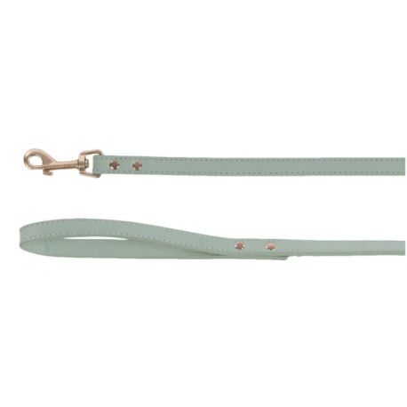 Laisse pour chien Nela menthe 1,3m 15mm