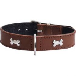 Collier pour chien bone Bronze