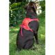 Harnais pour chien avec laisse easyride Noir