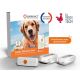 GPS Weenect XS Chien Blanc
