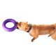 Dog training Puller, jouet innovant pour chien sportifs
