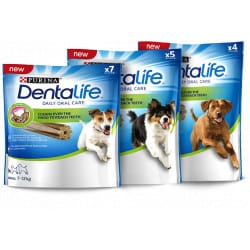 Bâtonnet à mâcher Dentalife Snacks pour chien - petit format