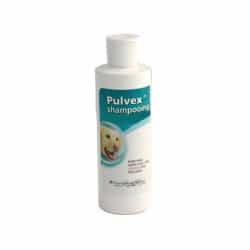 Shampooing Pulvex que pour chien 200 ml