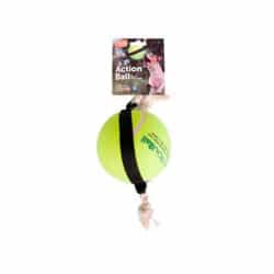 Action ball tennis pour chien