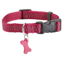 Collier réfléchissant pour chien Safe