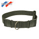 Ceinture de canicross