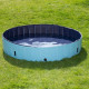 Piscine pour chien