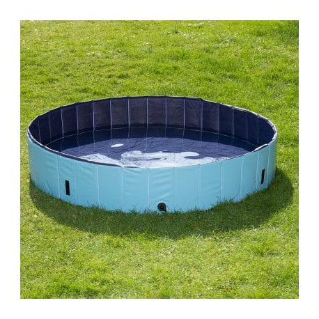 Piscine pour chien