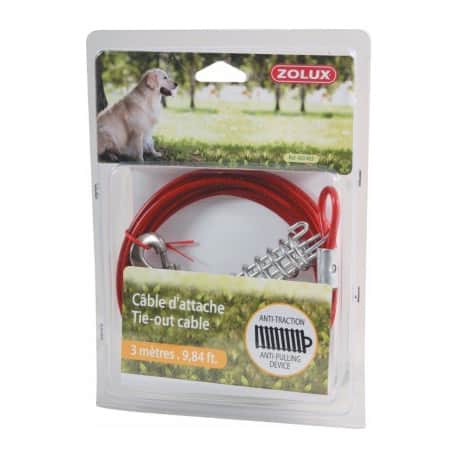 Câble d'attache pour chien avec ressort anti-choc