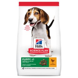 Croquettes pour chiot moyen au poulet Hill's Science-Plan Puppy Medium 12kg