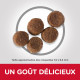 Croquettes pour chiot moyen Hill's Science-Plan