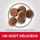 Croquettes pour grand chiot Hill's Science-Plan Maxi Puppy, 16Kg -Super pack