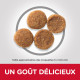 Croquettes pour chien moyen au poulet Hill's Science-Plan