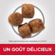 Croquettes pour chien mini, mobilité Hill's Healthy 3 kg