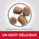 Croquettes pour chien mini, mobilité Hill's Healthy 3 kg