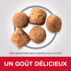 Croquettes pour chien mini, mobilité Hill's Healthy 3 kg