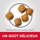 Croquettes pour chien moyen âgé au poulet Hill's Science-Plan