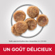 Croquettes pour petit chien adulte au poulet Hill's Science-Plan