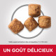 Croquettes pour petit chien au poulet Perfect Weight