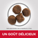 Croquettes pour chiot moyen Hill's Science-Plan