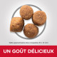 Croquettes pour chien moyen au poulet Hill's Science-Plan