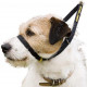 Collier pour chien Canny Collar