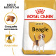 Croquettes pour chien Beagle adulte Royal Canin