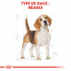 Croquettes pour chien Beagle adulte Royal Canin