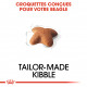 Croquettes pour chien Beagle adulte Royal Canin