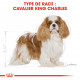 Croquettes pour chien Cavalier King Charles adulte Royal Canin