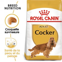 Croquettes pour chien Cocker anglais et américain adulte Royal Canin 25