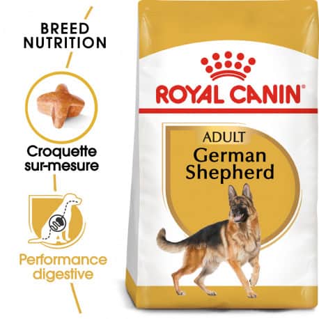 Croquettes pour chien Berger Allemand adulte Royal Canin