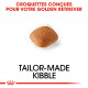 Croquettes pour Golden Retriever adulte Royal canin