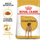 Croquettes Dogue Allemand adulte Royal Canin 12Kg
