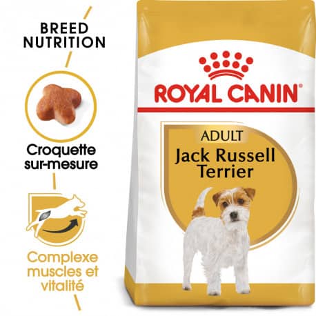 Croquettes pour chien Jack Russel adulte Royal Canin