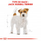 Croquettes pour chien Jack Russel adulte Royal Canin