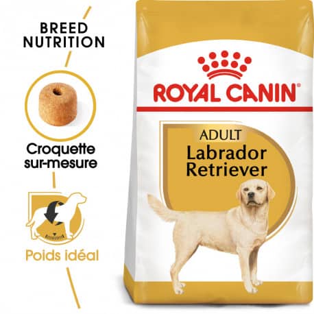 Croquettes pour Labrador Retriever adulte Royal canin