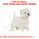 Croquettes pour Westie Royal canin